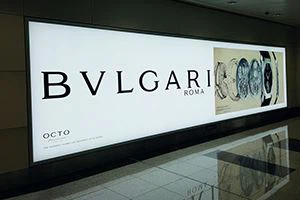 Backlit Flex Backlit Flex