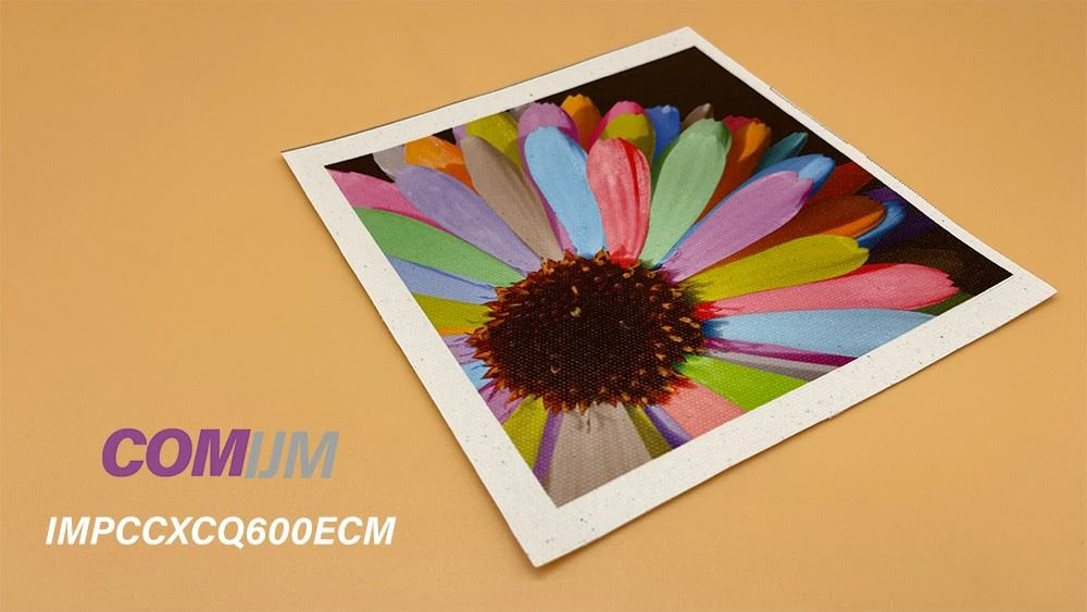 Product_Photo_IMPCCXCQ600ECM.jpg